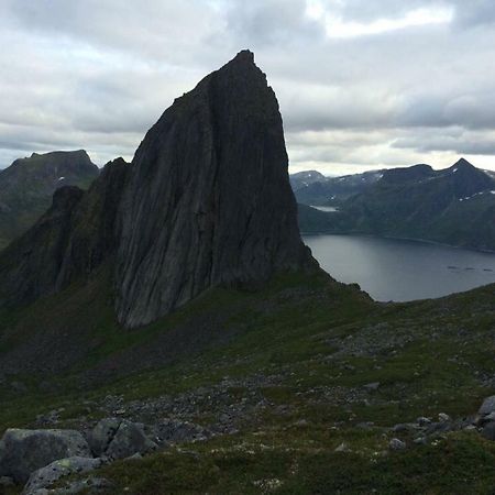 Fjordgard Leilighet A Exteriér fotografie